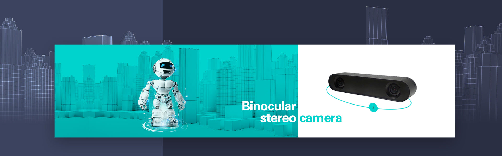 Stereo Camera Collection - SENSING