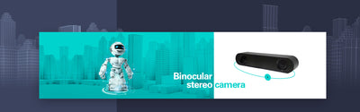 Stereo Camera